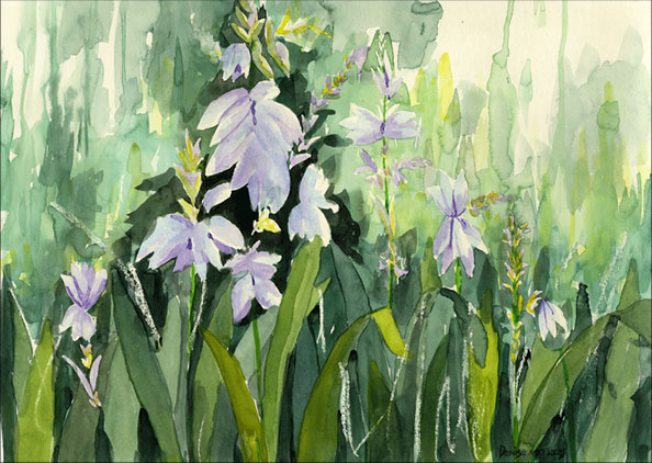Wildflowers symbolizing natural growth and the therapy journey